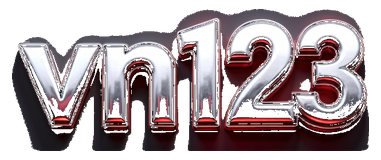 vn123 logo